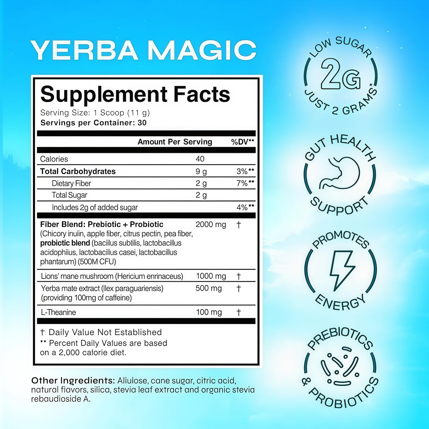 Yerba Magic – Yerba Mate Tea Instant Powder Super Drink with Nootropics, Prebiotics & Probiotics – Clean Energy, Mental Clarity & Gut Wellness | Low Sugar, Natural Caffeine – 30 Servings