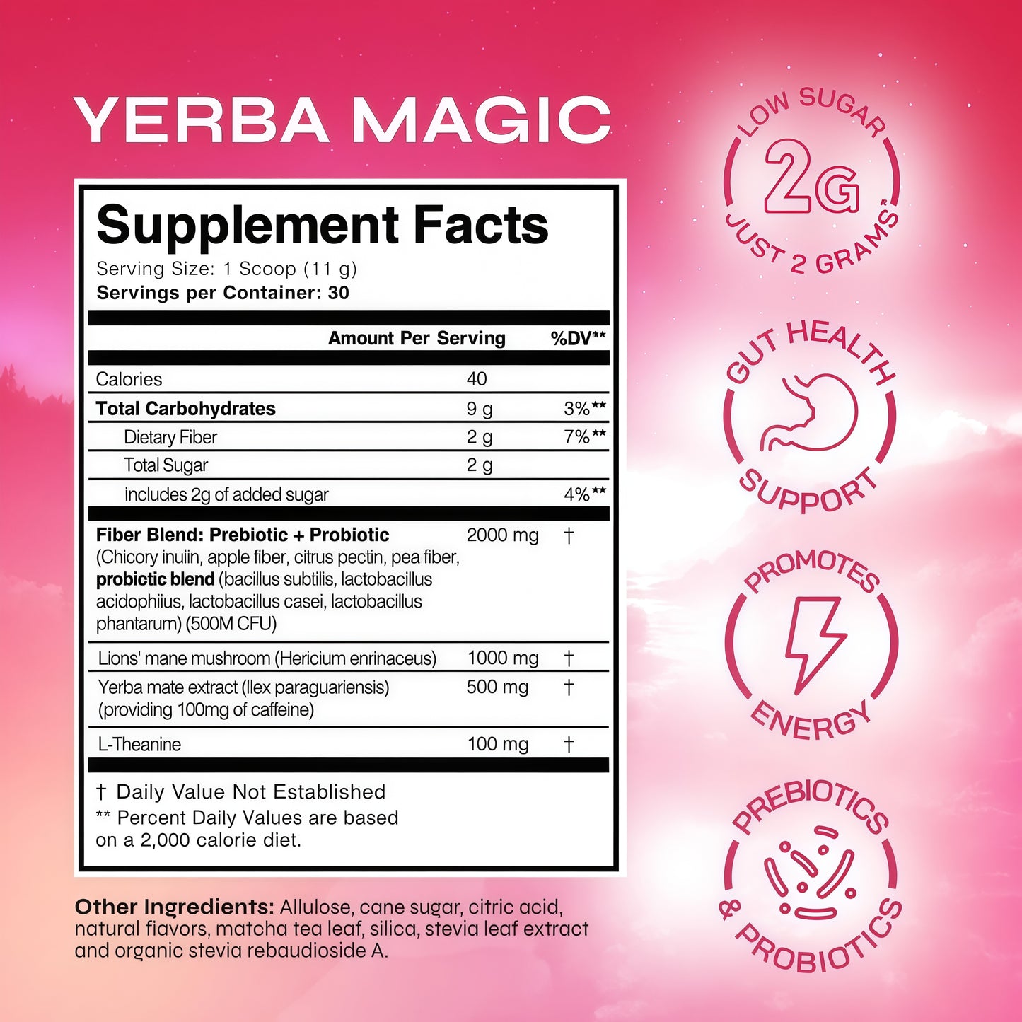 Yerba Magic – Yerba Mate Tea Instant Powder Super Drink with Nootropics, Prebiotics & Probiotics – Clean Energy, Mental Clarity & Gut Wellness | Low Sugar, Natural Caffeine – 30 Servings